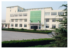 营口金属镁粉生产厂家，老师傅教你避开常见坑